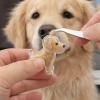 Dog hair keepsake keychain bottle transparent pet hair storage
